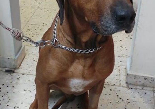 חשדו בכל גוש! (עד שיוכח אחרת)