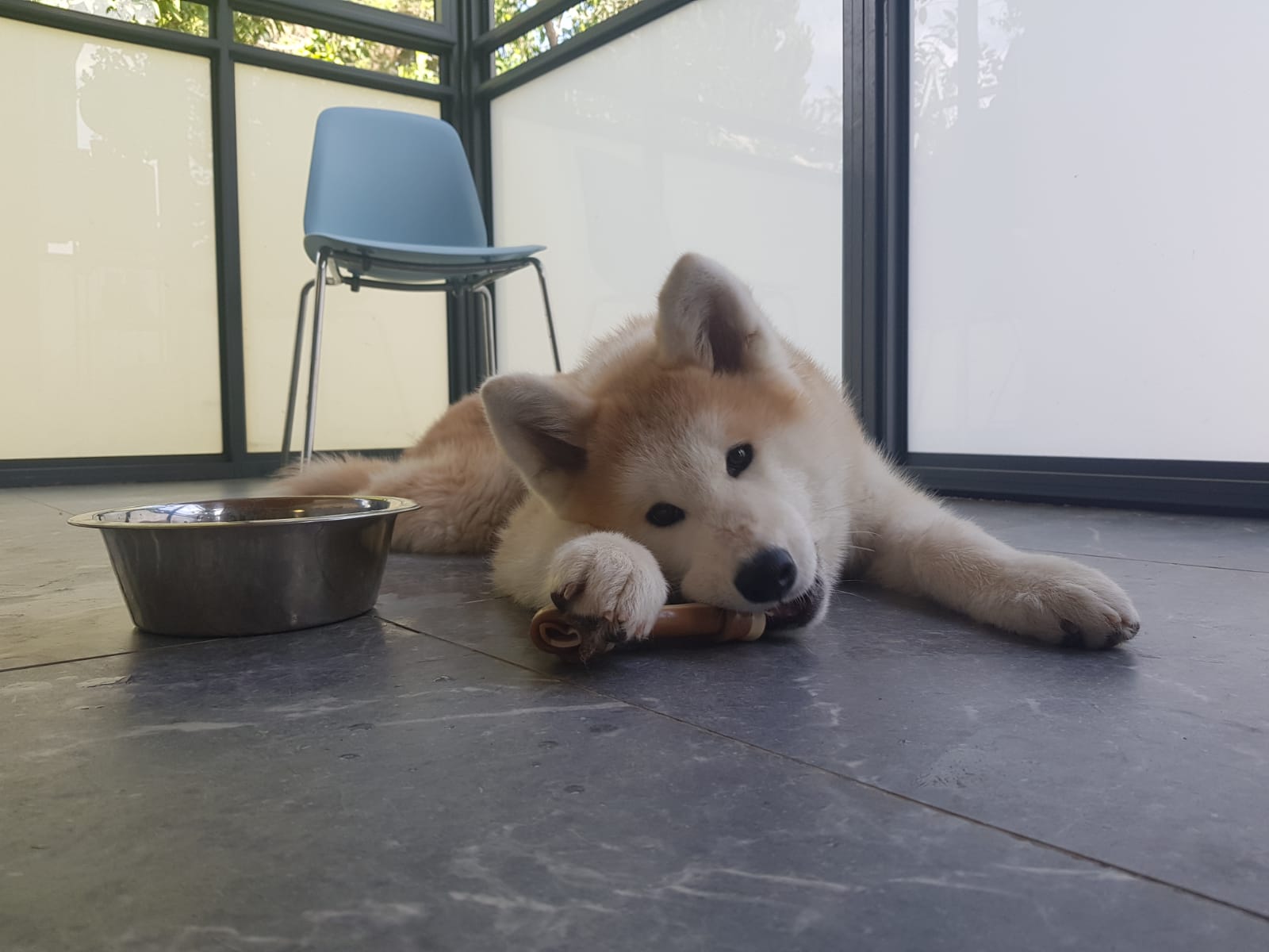 הסימן היחידי לכך שלפו היתה בעיה רפואית היה הריח